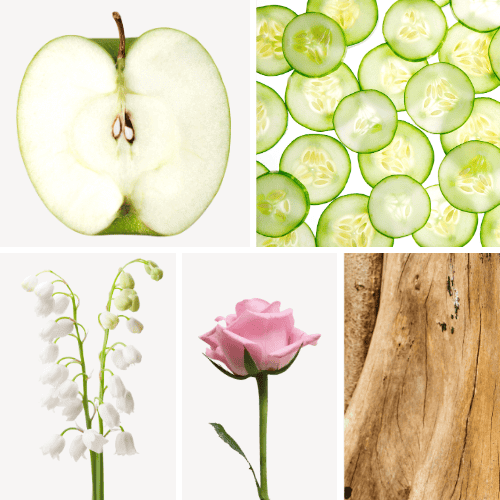 Duftnoten: Apfel, Gurke, Maiglöckchen, Rose, Sandelholz